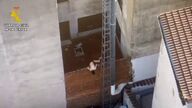 Detenido un agresor que intentó huir de los agentes saltando por los tejados en un pueblo de Ávila